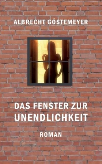 Cover for Albrecht Goestemeyer · Das Fenster zur Unendlichkeit (Paperback Book) (2023)