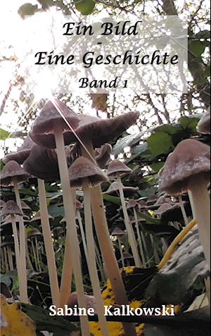 Cover for Sabine Kalkowski · Ein Bild Eine Geschichte (Paperback Book) (2021)