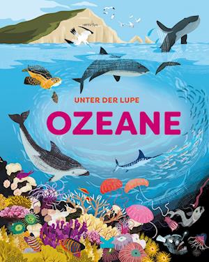 Cover for Jon Richards · Unter der Lupe: Ozeane (Book) (2022)