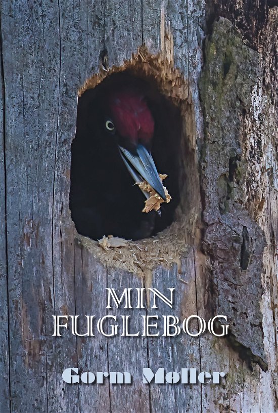 Cover for Gorm Møller · Min fuglebog (Hardcover bog) (2022)