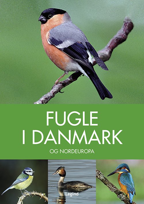 Cover for Peter Goodfellow · Naturguide: Fugle i Danmark (Bound Book) [3th edição] (2021)