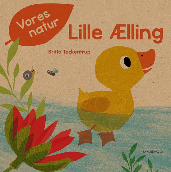 Cover for Britta Teckentrup · Vores natur: Vores natur - Lille Ælling (Papbog) [1. udgave] (2018)