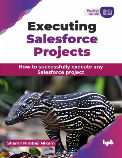 Shamli Nikam · Executing Salesforce Projects: How to successfully execute any Salesforce project (Paperback Book) (2024)