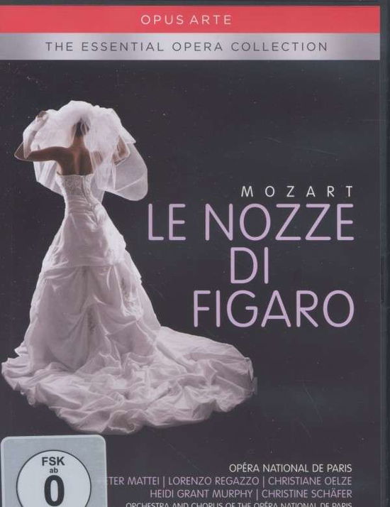 Cover for Mattei / Regazzo · Mozart:Le Nozze Di Figaro (DVD) (2013)