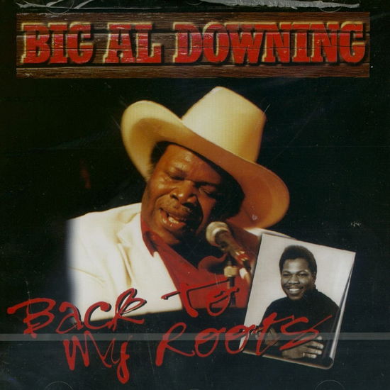 Cover for Big Al Downing · Back To My Roots (CD) (2020)