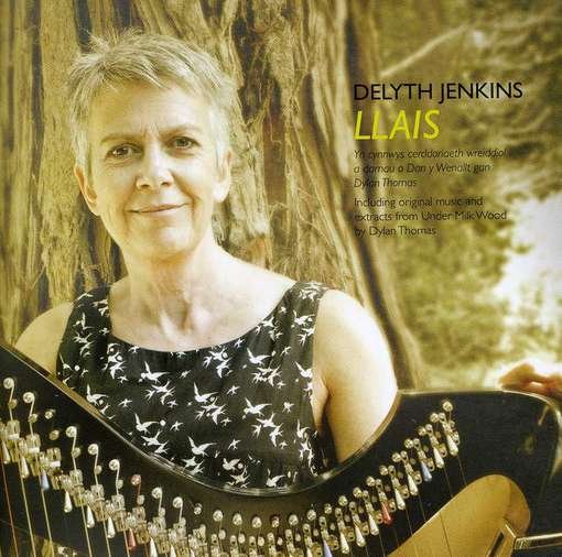 Cover for Delyth Jenkins · Llais (CD) (2012)