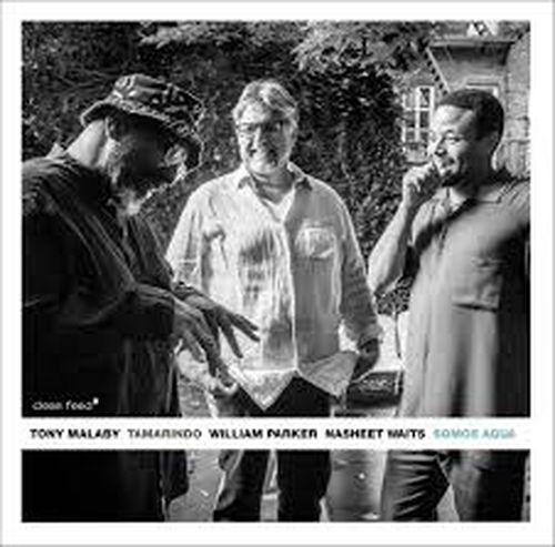 Cover for Tony Malaby · Tamarindo - Somos Agua (CD) (2014)