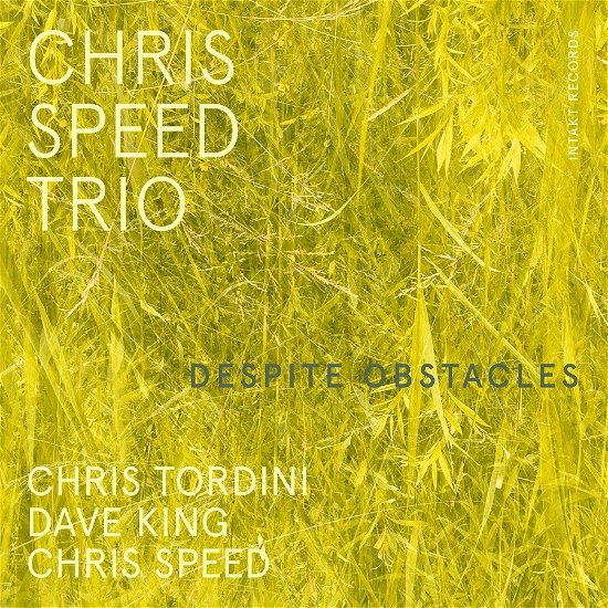 Cover for Chris -Trio- Speed · Despite Obstacles (CD) (2023)