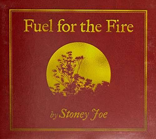 Cover for Stoney Joe · Fuel for the Fire (CD) (2016)