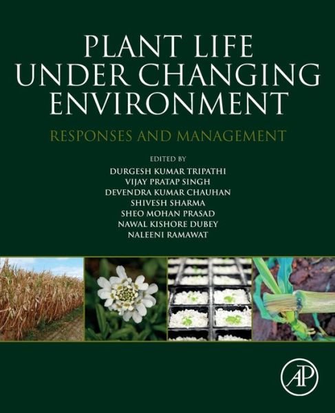 Cover for Prasad · Plant Life under Changing Environment: Responses and Management (Paperback Book) (2020)