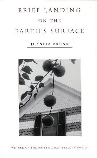 Cover for Juanita Brunk · Brief Landing on the Earth's Surface (Paperback Book) (2004)