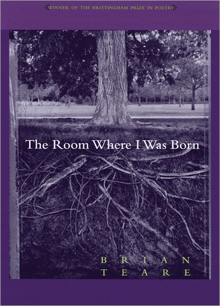 Cover for Brian Teare · The Room Where I Was Born (Paperback Book) (2003)