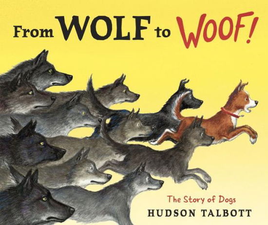 Cover for Hudson Talbott · From Wolf To Woof: The Story Of Dogs (Hardcover Book) (2016)