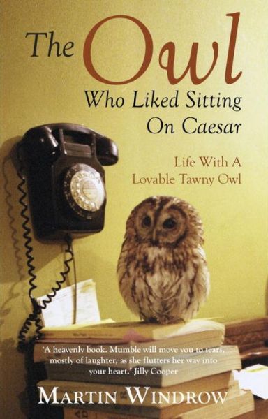 Cover for Martin Windrow · The Owl Who Liked Sitting on Caesar (Paperback Book) (2014)