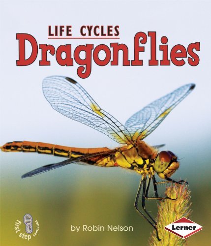 Cover for Robin Nelson · Dragonflies (First Step Nonfiction Animal Life Cycles) (Paperback Book) (2009)