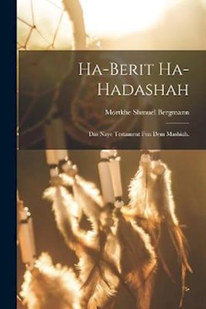 Cover for Mortkhe Shmuel Bergmann · Ha-Berit Ha-Hadashah (Book) (2022)