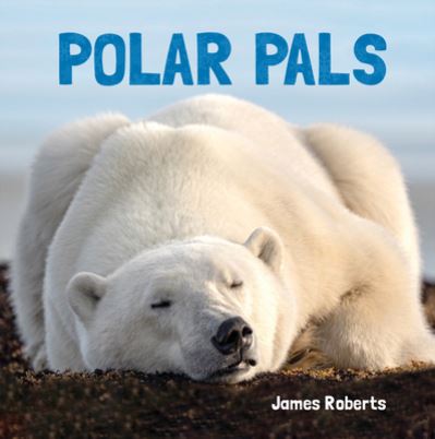 Cover for James Roberts · Polar Pals (Board book) (2022)