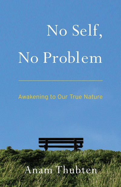 Cover for Anam Thubten · No Self, No Problem: Awakening to Our True Nature (Paperback Book) (2013)