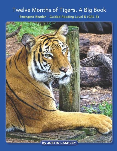 Cover for Justin Lashley · Twelve Months of Tigers, A Big Book (Paperback Book) (2022)