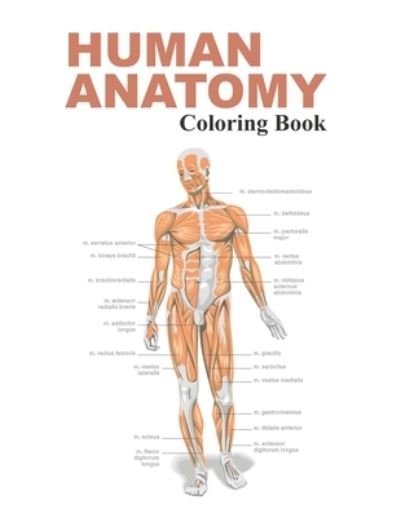 Cover for Fk Publishing · Human Anatomy Coloring Book (Paperback Book) (2020)