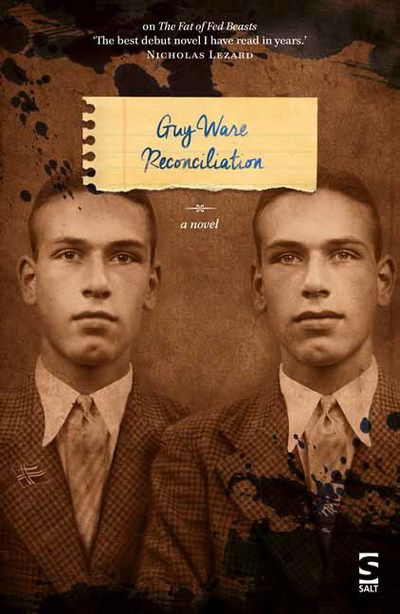 Cover for Guy Ware · Reconciliation - Salt Modern Fiction (Paperback Book) (2017)