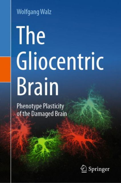 Cover for Wolfgang Walz · The Gliocentric Brain: Phenotype Plasticity of the Damaged Brain (Hardcover Book) [2023 edition] (2024)