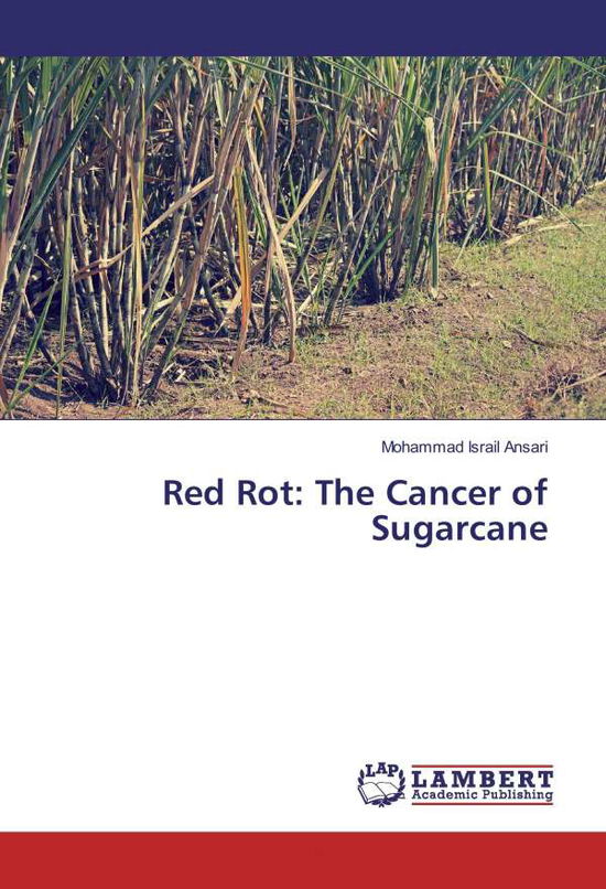 Cover for Ansari · Red Rot: The Cancer of Sugarcane (Book)