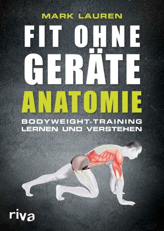 Cover for Lauren · Fit ohne Geräte - Anatomie (Book)