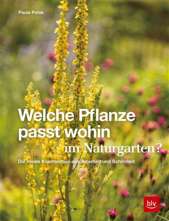 Cover for Polak · Welche Pflanze passt wohin im Nat (Book)