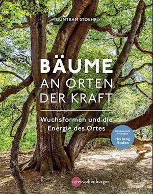 Cover for Guntram Stoehr · Bäume an Orten der Kraft (Hardcover Book) (2022)