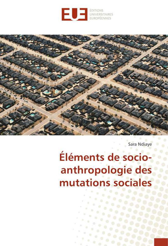 Éléments de socio-anthropologie - Ndiaye - Livros -  - 9786202279048 - 