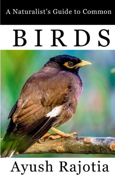 Cover for Ayush Rajotia · A Naturalist's Guide to Common Birds (Pocketbok) (2020)