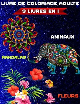 3 livres en 1 livre de coloriage adulte - Doxoven Press - Books - Independently Published - 9798642616048 - May 2, 2020