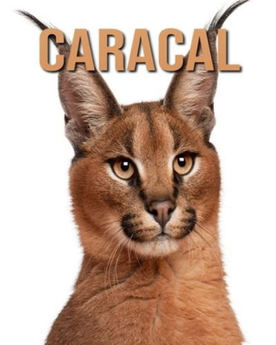Cover for Dan Anthony · Caracal (Paperback Book) (2020)