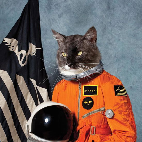 Cover for Klaxons · Surfing the Void (LP) [Reissue edition] (2020)