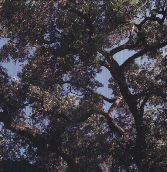 Trees - Charles Manson - Musik - MAGIC BULLET - 0856645003049 - 20 april 2017