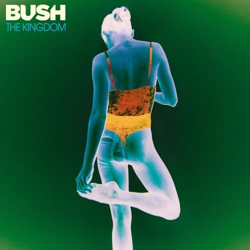 Cover for Bush · Kingdom (LP) (2023)
