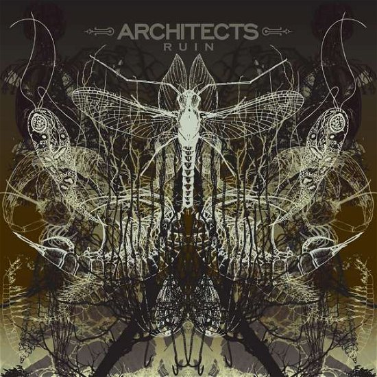 Ruin - Architects - Music - BACKBITE - 4250137265049 - August 28, 2020