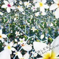 Cover for L'arc En Ciel · Bless (CD) [Limited edition] (2010)