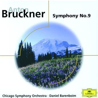 Symphony No. 9 in D Minor - Anton Bruckner - Music - NGL MELODIYA - 4600317008049 - December 16, 2013
