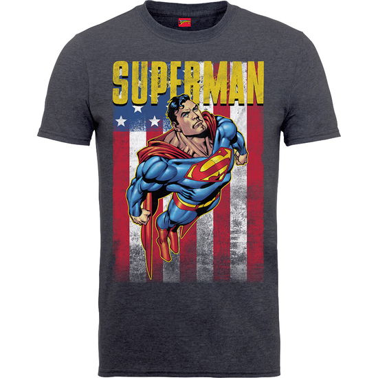 Cover for DC Comics · DC Comics Unisex Tee: Superman US Flight (TØJ) [size S] [Grey - Unisex edition]