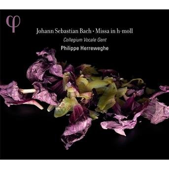 Cover for Bach,j.s. / Collegium Vocale Gent / Herreweghe · Mass in B Minor Bwv 232 (CD) [Digipak] (2012)