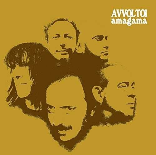Cover for Avvoltoi · Amagama (CD) (2015)