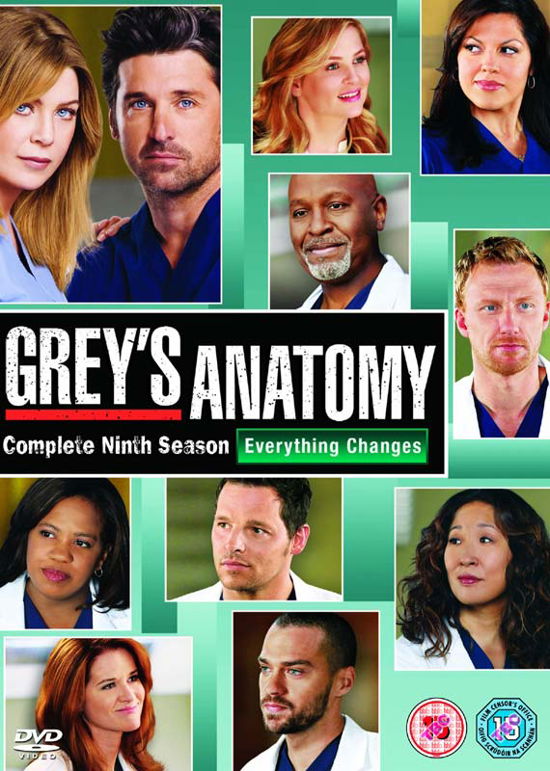 Season 9 - Grey's Anatomy - Elokuva - DISNEY - 8717418407049 - maanantai 4. marraskuuta 2013