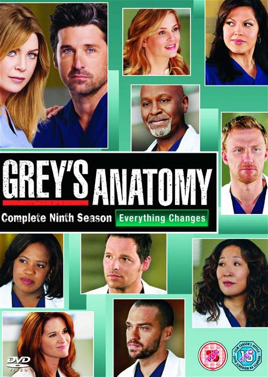 Season 9 - Grey's Anatomy - Film - DISNEY - 8717418407049 - 4. november 2013
