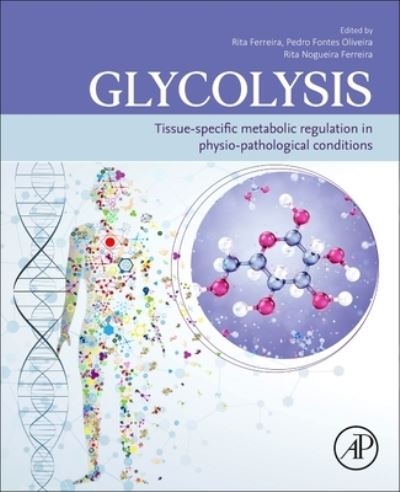 Cover for Rita Ferreira · Glycolysis: Tissue-Specific Metabolic Regulation in Physio-pathological Conditions (Paperback Book) (2023)