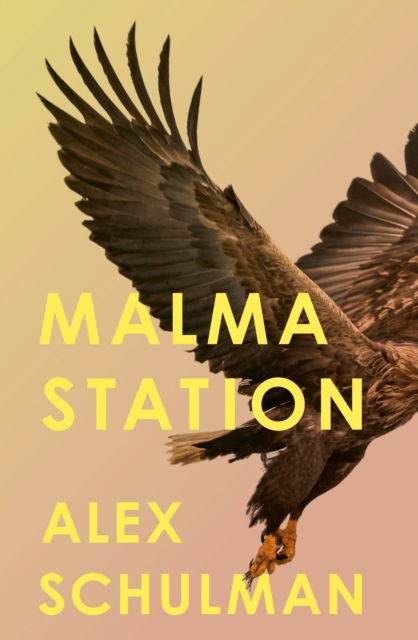 Malma Station - Alex Schulman - Bøger - Little, Brown Book Group - 9780349728049 - 6. marts 2025