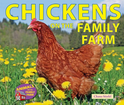 Cover for Chana Stiefel · Chickens on the Family Farm (Animals on the Family Farm) (Hardcover Book) (2013)