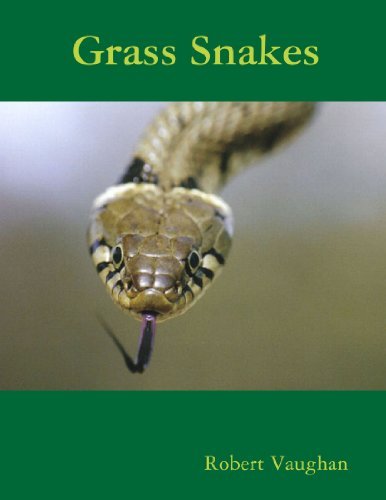 Cover for Robert Vaughan · Grass Snakes (Pocketbok) (2010)