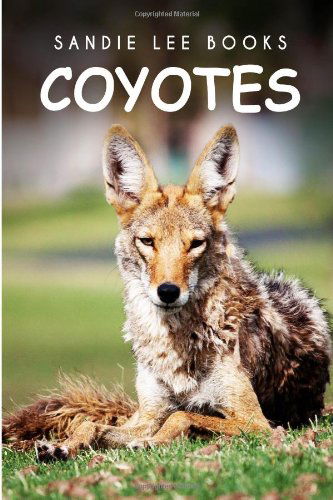 Cover for Curious Kids Press · Coyotes - Sandie Lee Books (Paperback Book) (2014)